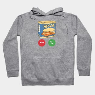 Spam Risk Hoodie